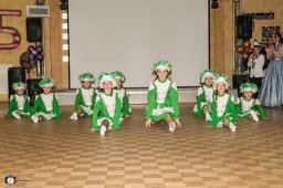 2026_efg_stadtweiberfasching_15_s