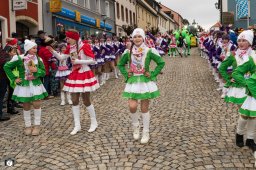 2026_efg-faschingszug_111_s