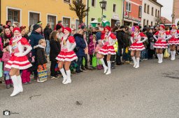 2026_efg-faschingszug_83_s