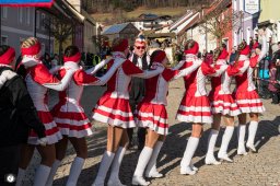 2026_faschingszug_waldeck_46_s