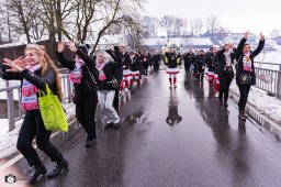 2026_faschingszug_hammerles_041